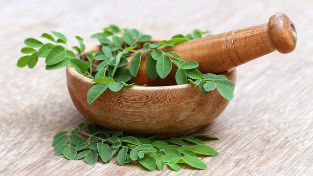 6 Manfaat Daun Kelor, Herbal Alami untuk Menyehatkan Tubuh