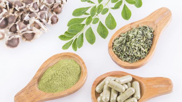 6 Manfaat Daun Kelor, Herbal Alami untuk Menyehatkan Tubuh