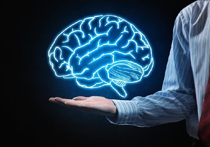 Mitos Mengenai Otak yang Diungkapkan Studi