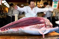 6 Manfaat Ikan Tuna